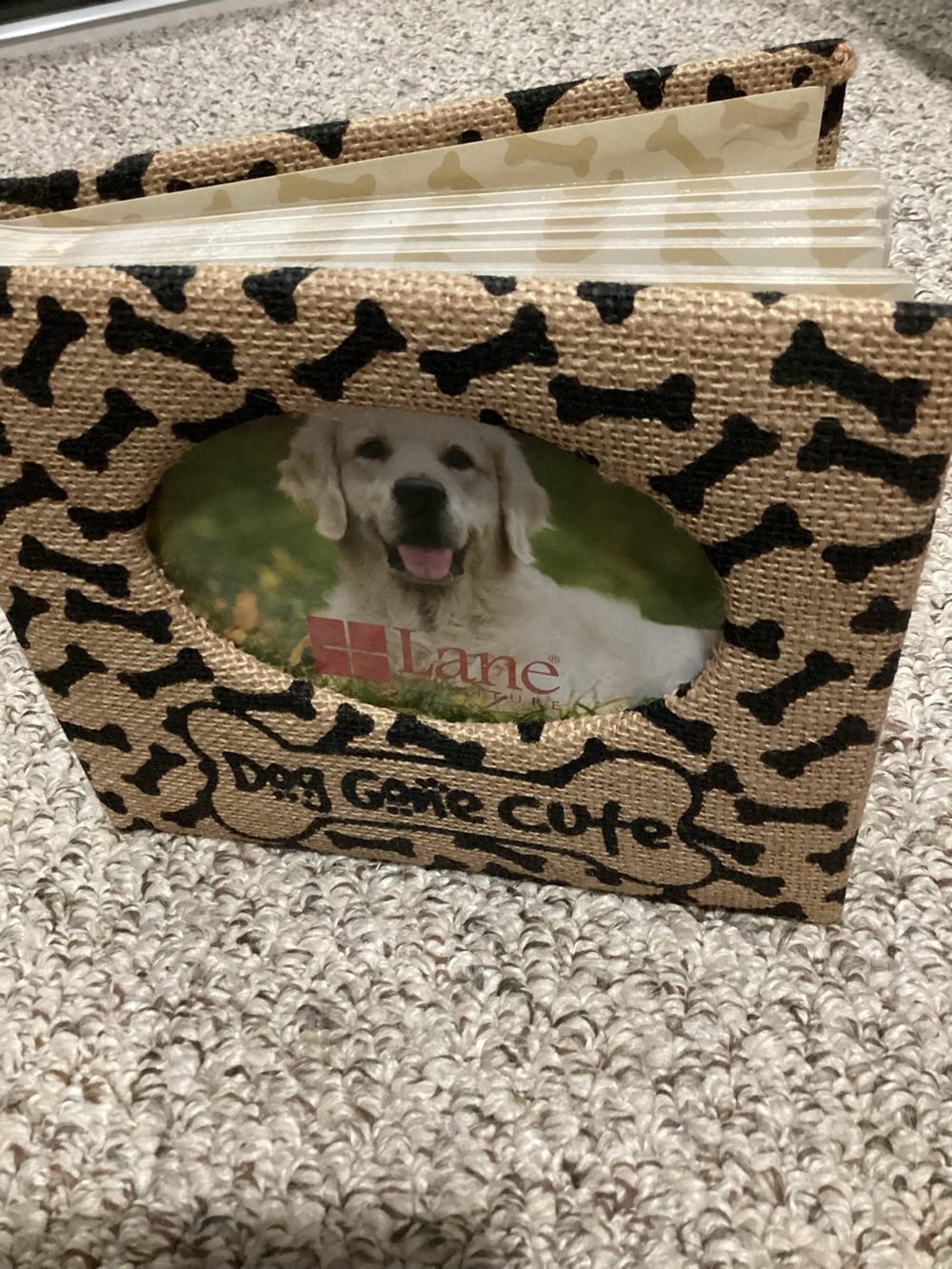 Dog Gone Cute Burlap Photo Album - Holds 80 4” X 6” Photos